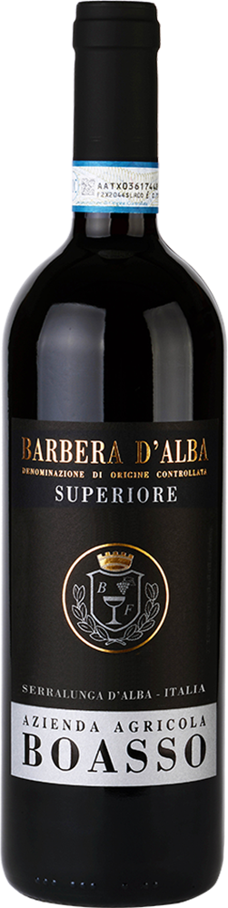 2023 Barbera d'Alba Superiore reflection