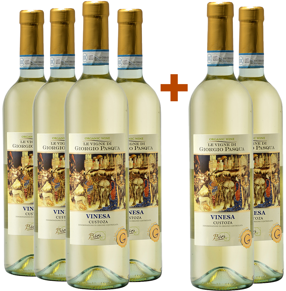 4+2 2022 Vinesa Custoza DOC BIO