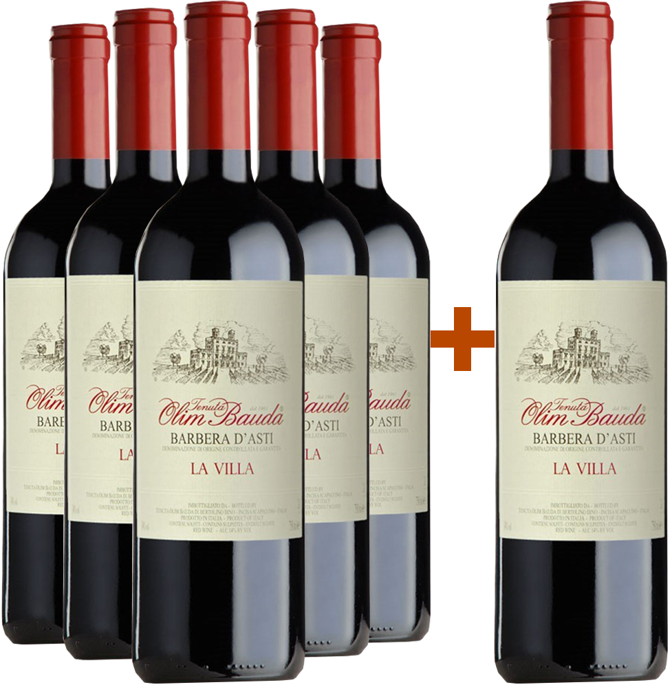 5+1 La Villa Barbera d’Asti DOCG BIO