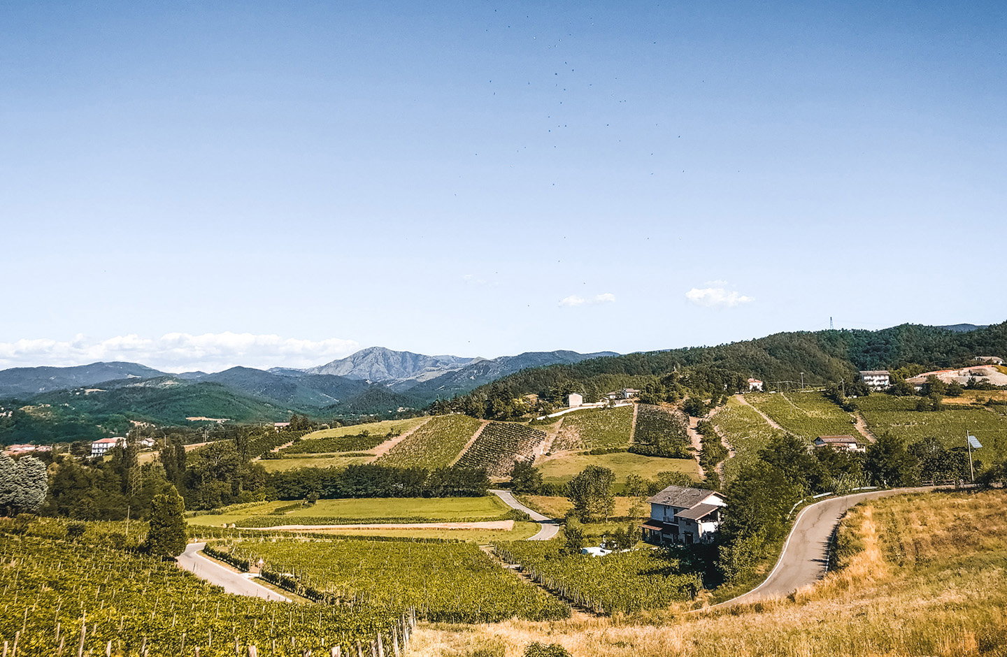 Colline vitate dell’Ovadese, territorio del Dolcetto di Ovada DOCG