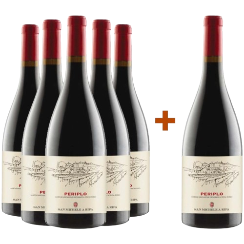 5+1 Periplo Marche IGP