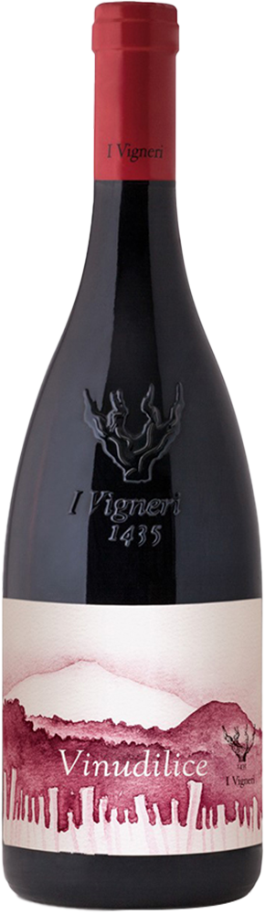 2024 VINUDILICE