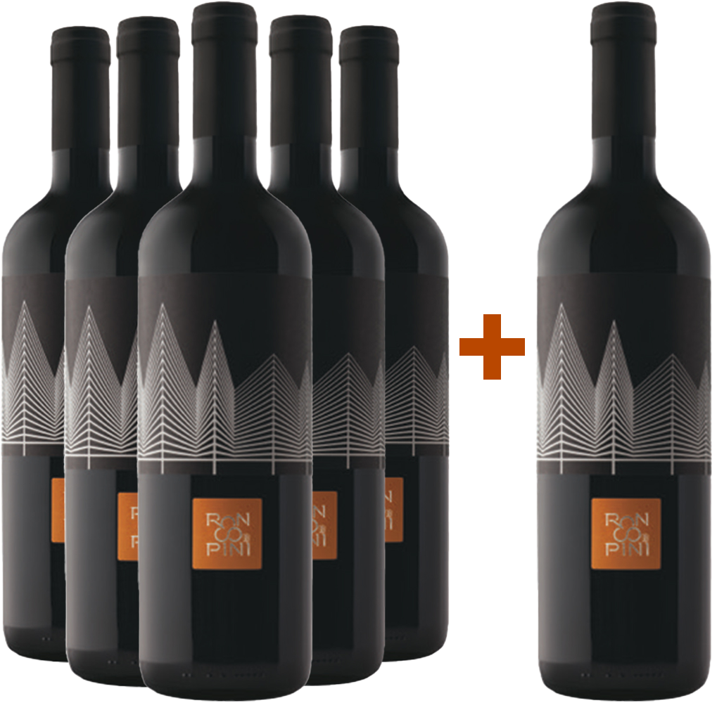 5+1 Sauvignon Friuli Colli Orientali DOC-Paket