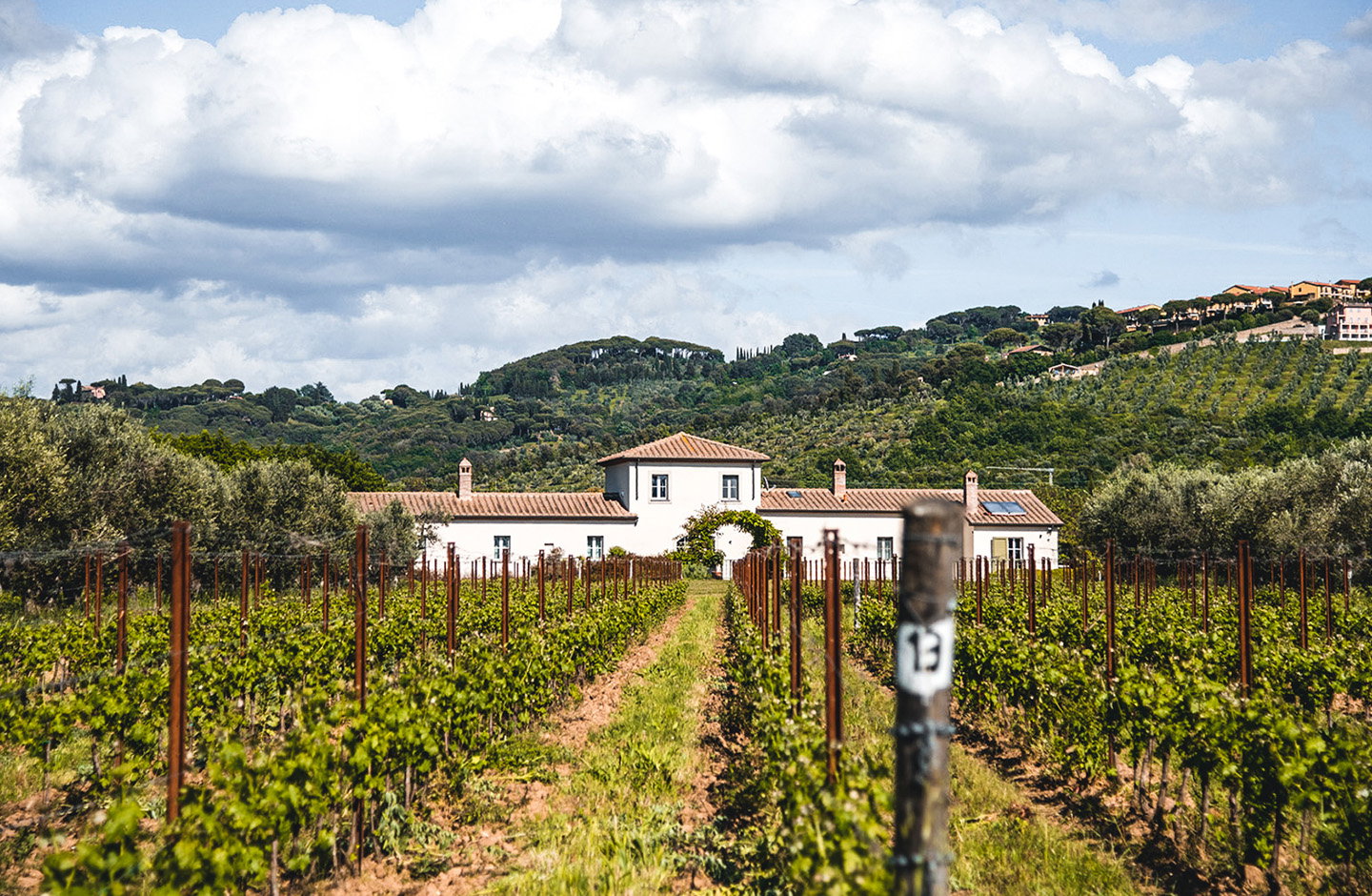 Tenuta Campo al Signore