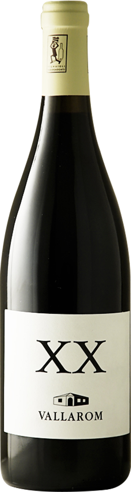 2020 Syrah XX Vallagarina IGP BIO