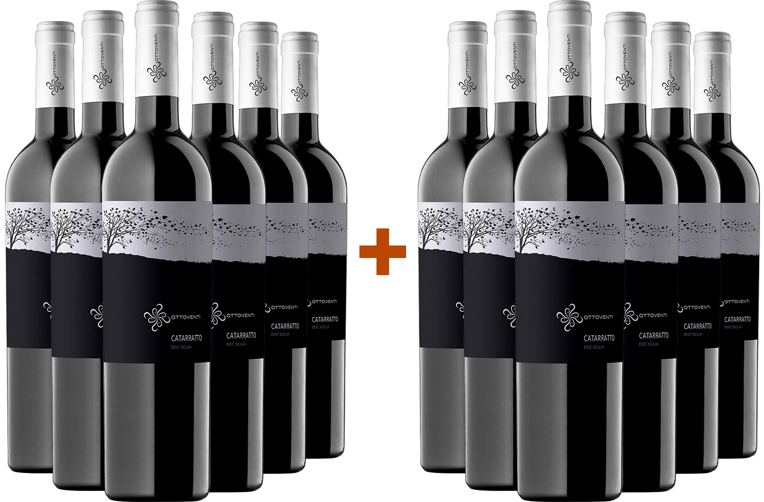 6+6 Catarratto Sicilia DOC BIO