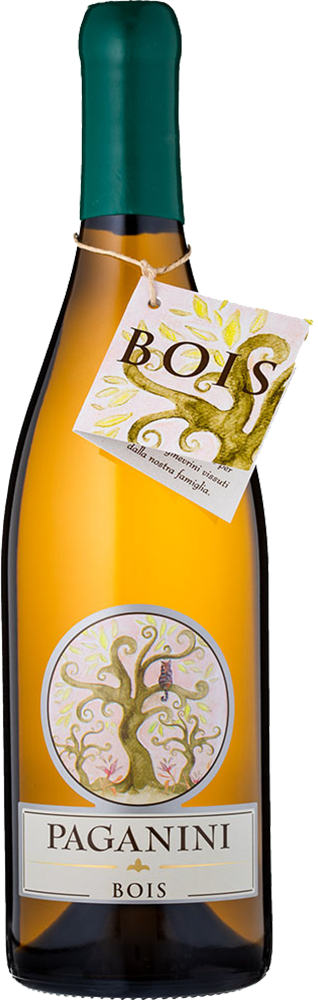 2021 Bois Vino Colli Piacentini DOC BIO