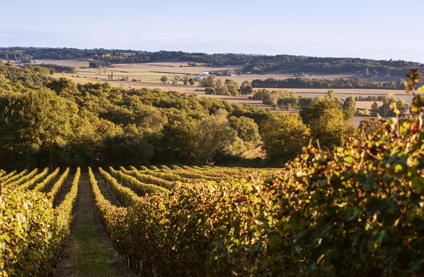 La Cave des Vignerons de Tursan