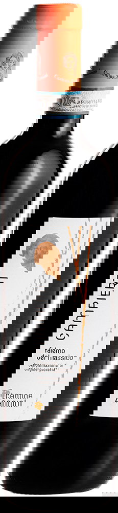 2024 Campierti Primitivo Falerno del Massico DOC