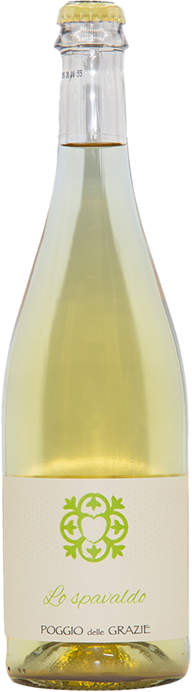 Rifermentato in Bottiglia Bianco BIO