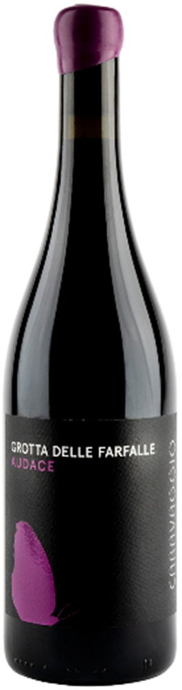 Audace Terre di Chieti IGP