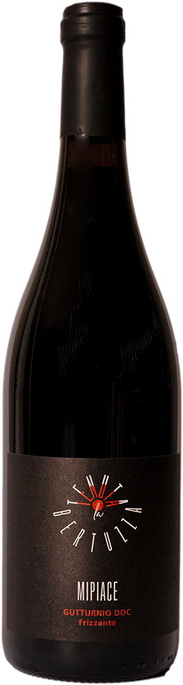 2025 MI PIACE - Gutturnio Frizzante DOC