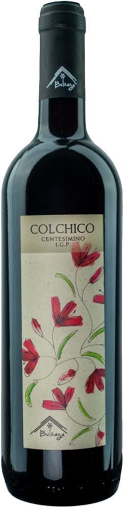 2024 Colchico Ravenna IGP BIO reflection