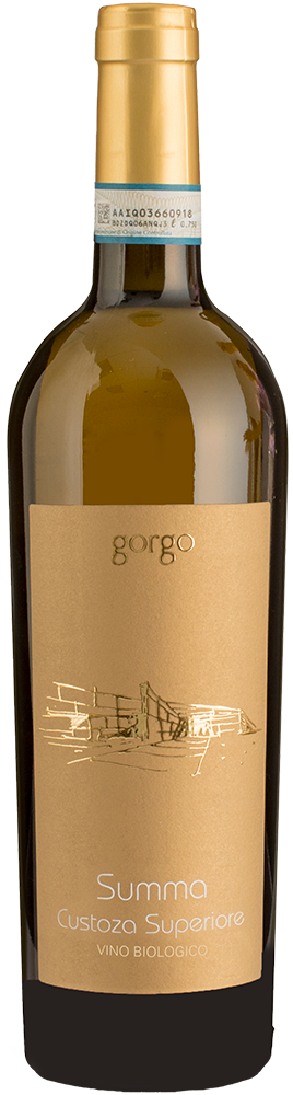 2023 Summa Custoza Superiore DOC BIO