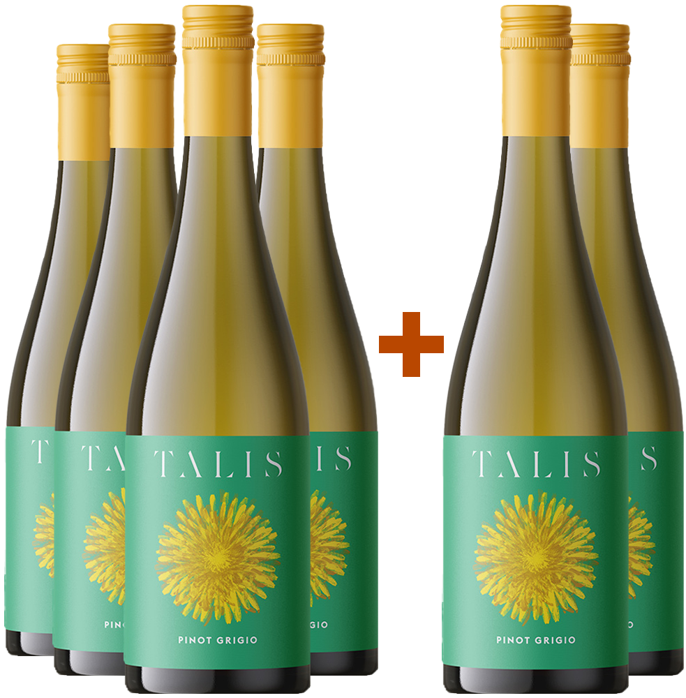 4+2 Talis Pinot Grigio Friuli DOC