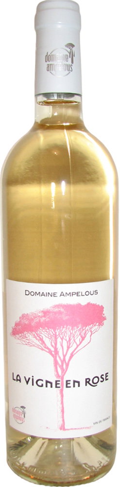 2020 "La Vigne en Rose" reflection