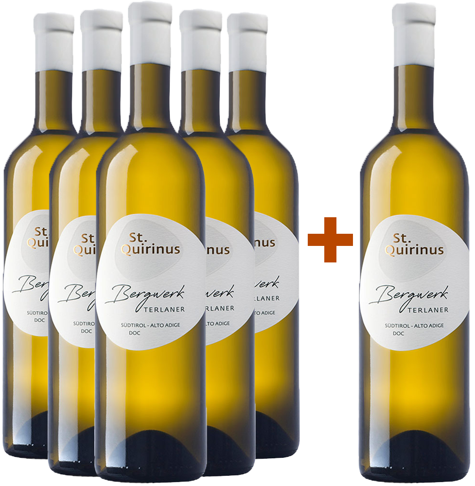 5+1 Bergwerk Terlaner Classico Alto Adige DOC BIO