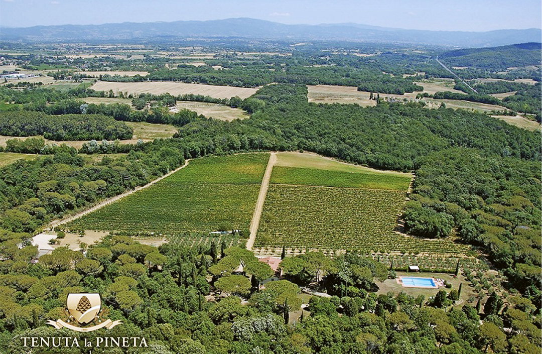 La Pineta
