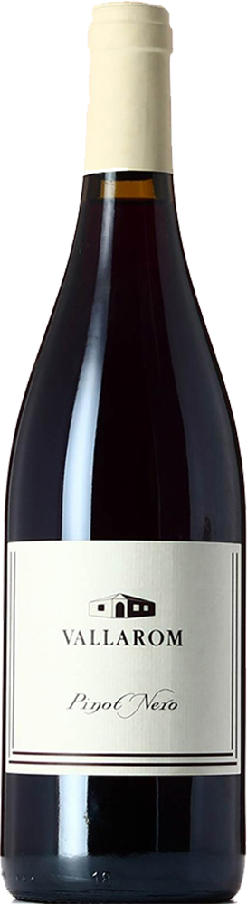 2022 Pinot Nero Vallagarina IGP BIO