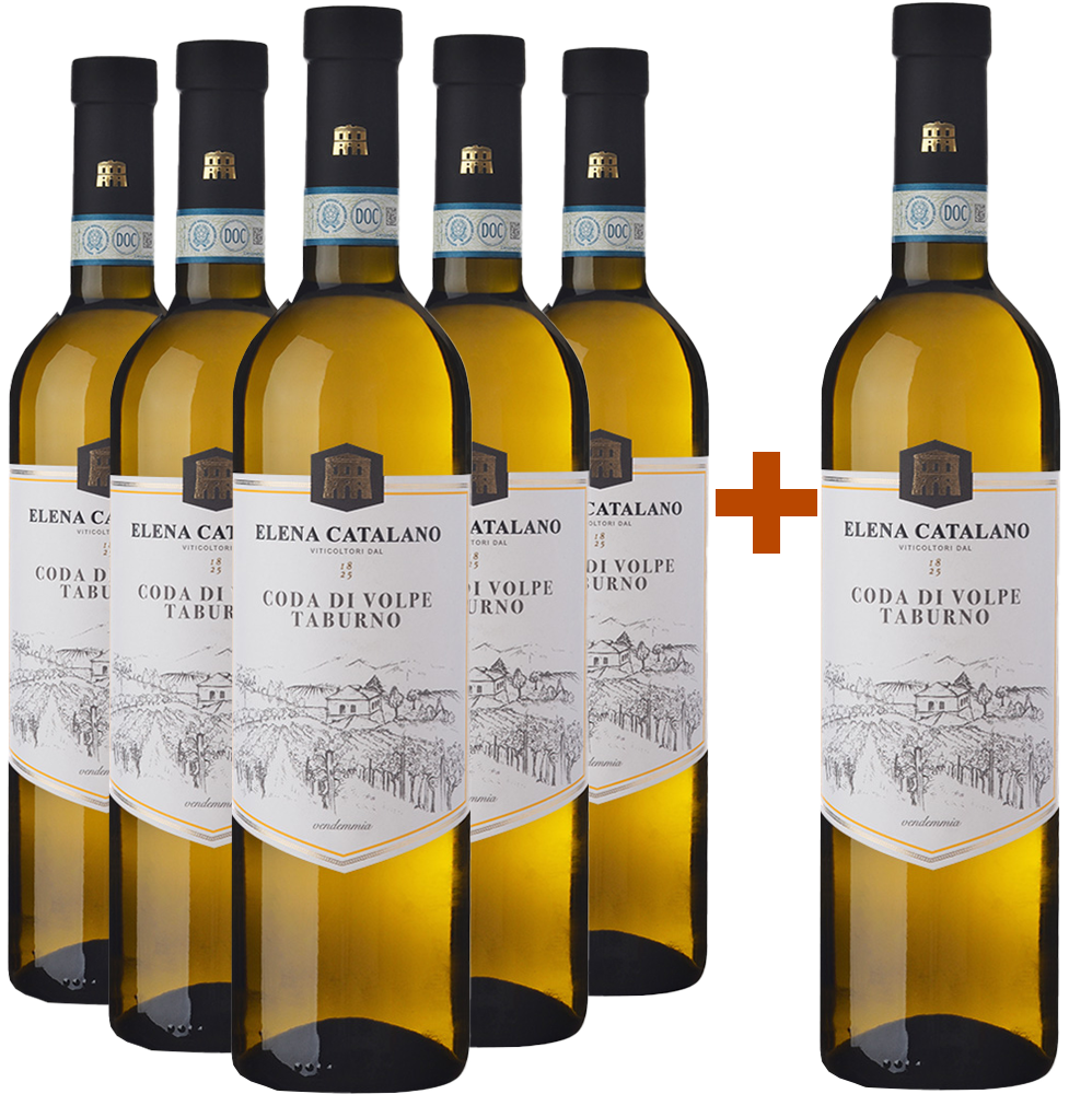 5+1 Coda di Volpe Sannio Taburno DOC