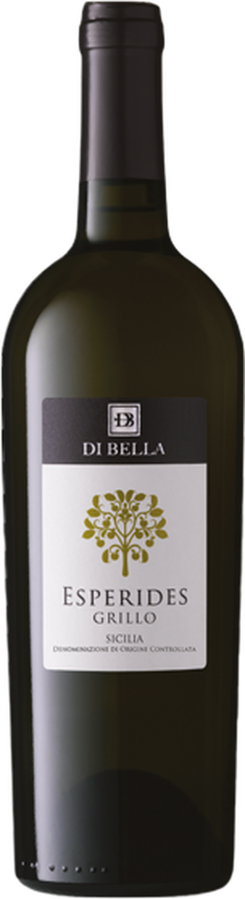 2023 Esperides Grillo BIO reflection