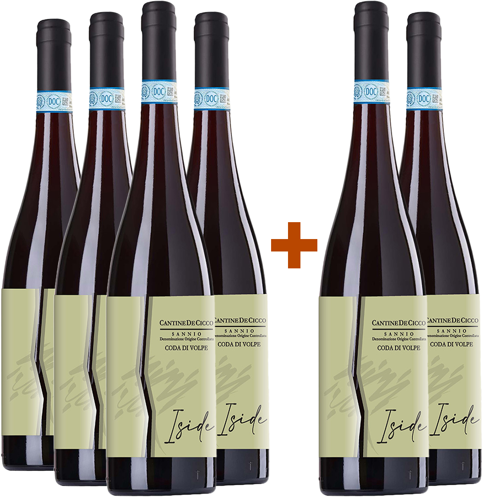 4+2 Iside Coda di Volpe del Sannio DOC