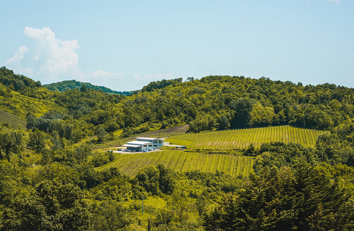 Panorama collinare con vigneti Greco e azienda vinicola