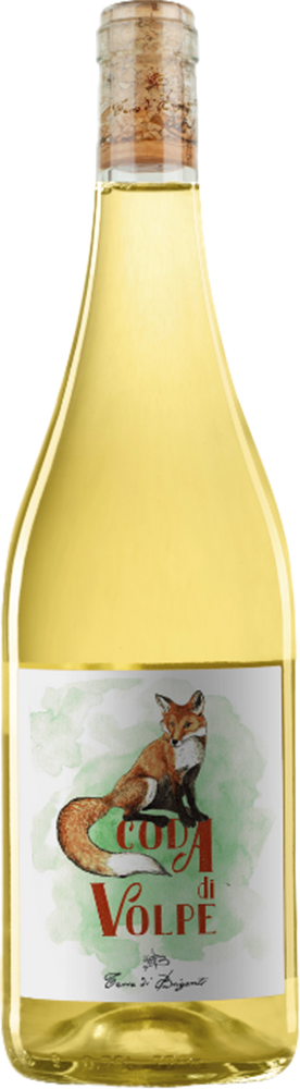 2022 Coda di Volpe Benevento IGP BIO