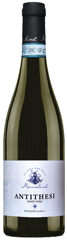 2025 Antithesi Pinot Nero Oltrepó Pavese DOC