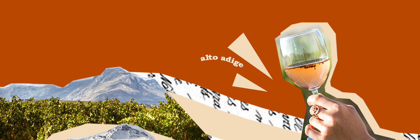 Banner descrittivo dei vini dell'Alto Adige