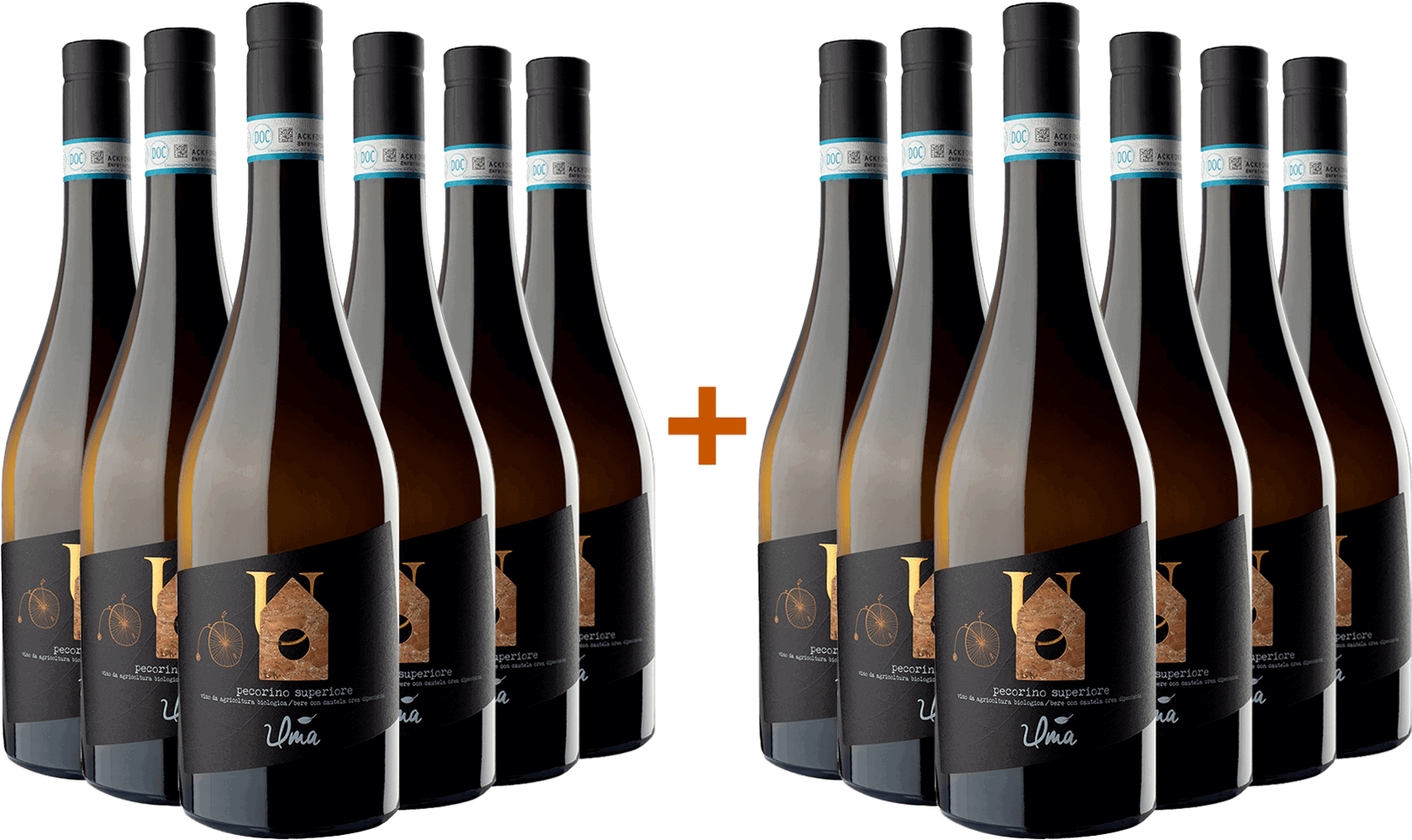 6+6 Pecorino Superiore Abruzzo DOC Bio BIO