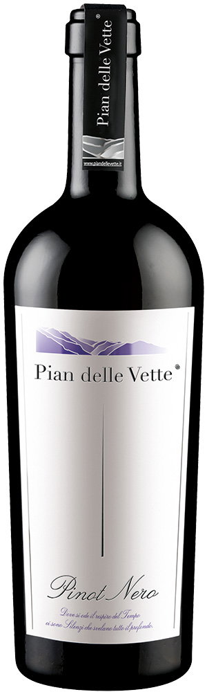 2017 Pinot Nero Vigneti delle Dolomiti IGP reflection