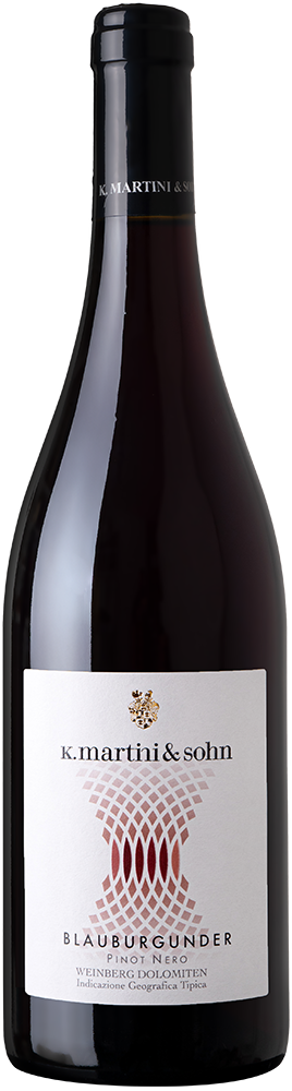 2023 Pinot Nero Vigneti delle Dolomiti IGP reflection
