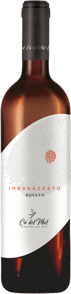 2025 Vino Generico Rosato
