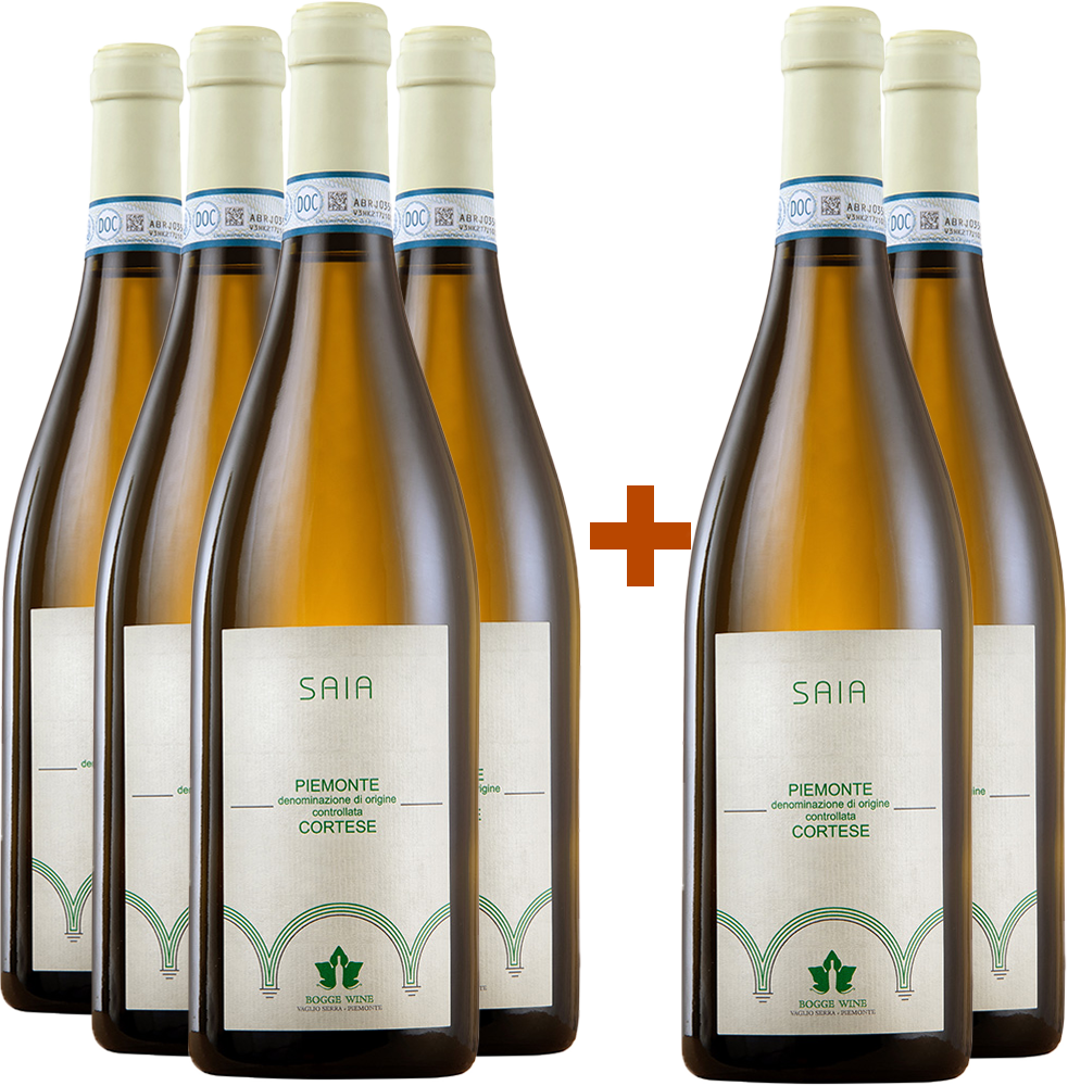 4+2 Saia Piemonte DOC