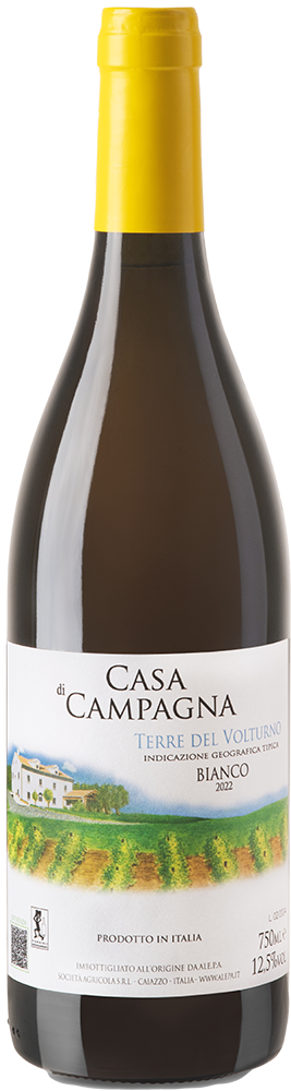 2022 Casa di Campagna Terre del Volturno IGP Bianco