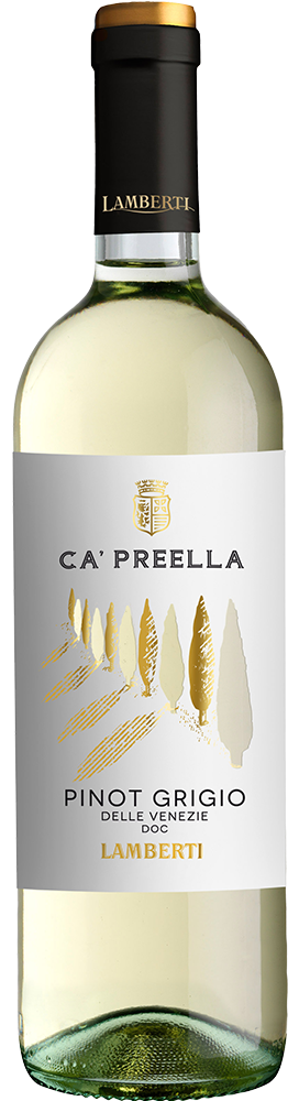 2025 Ca' Preella Pinot Grigio Delle Venezie DOC