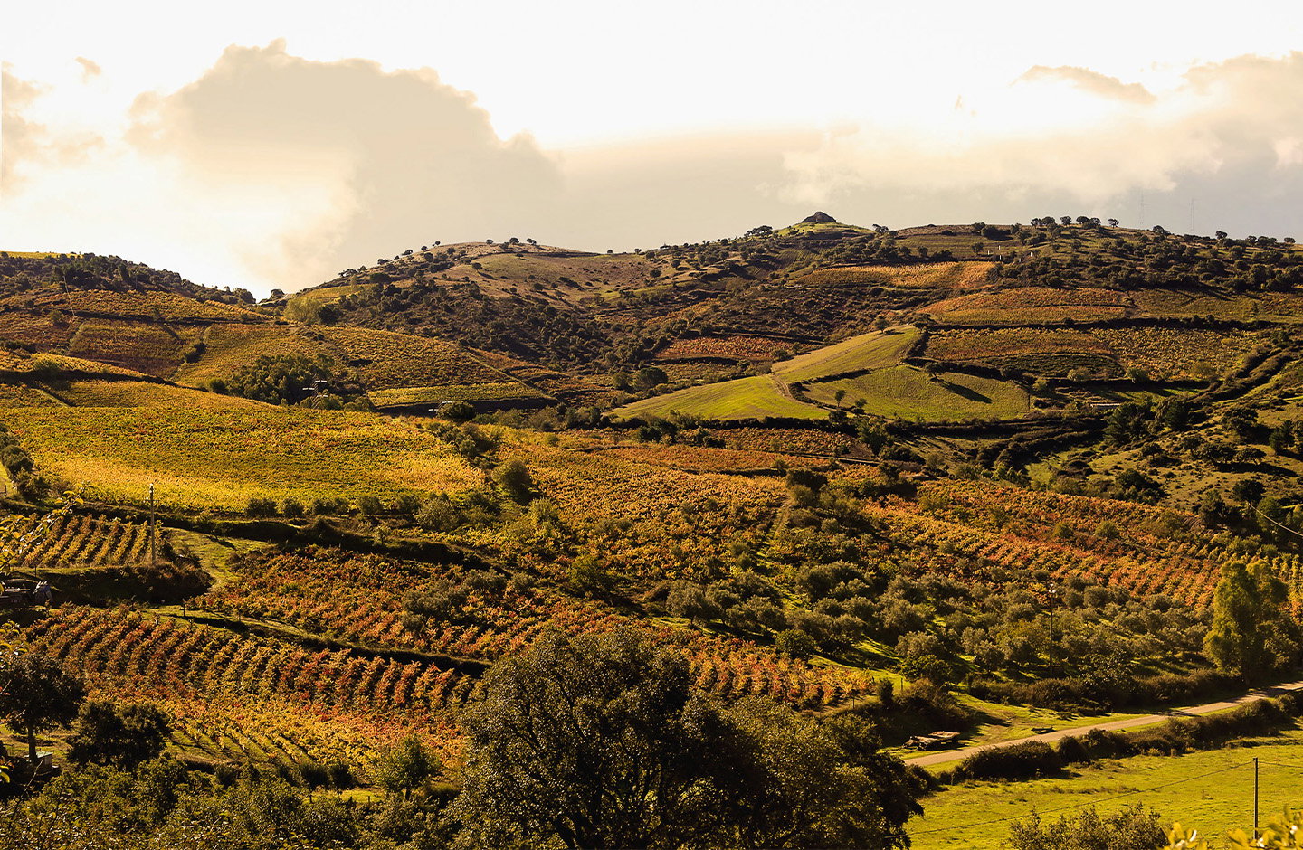 Meana – Terra del Mandrolisai