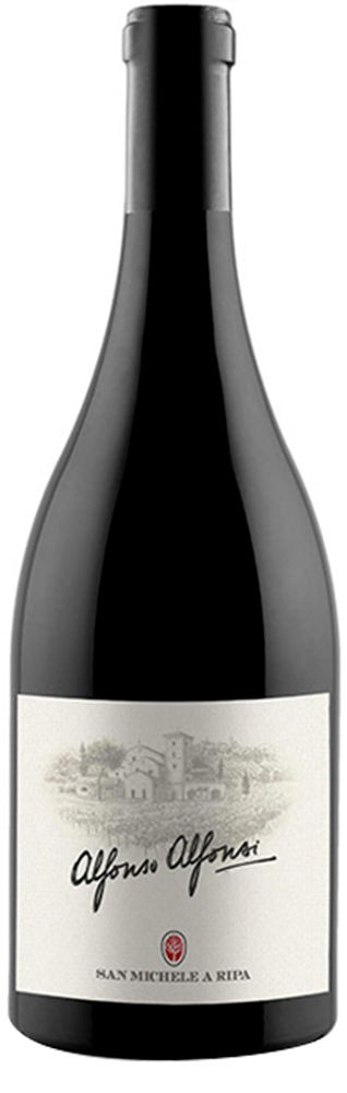 2013 Alfonso Alfonzi Marche IGP