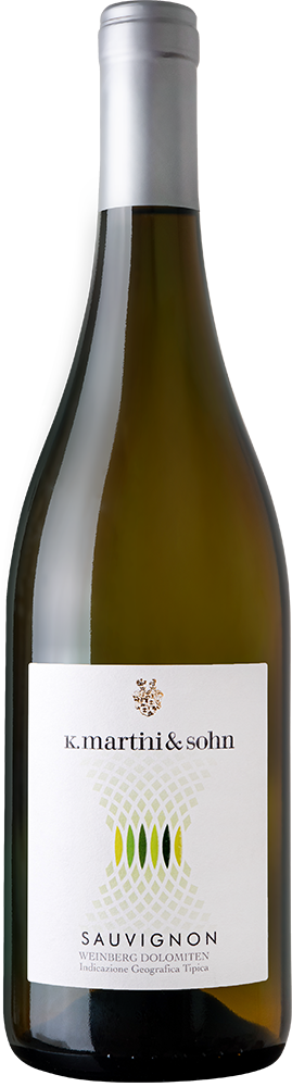 2024 Sauvignon Vigneti delle Dolomiti IGP reflection