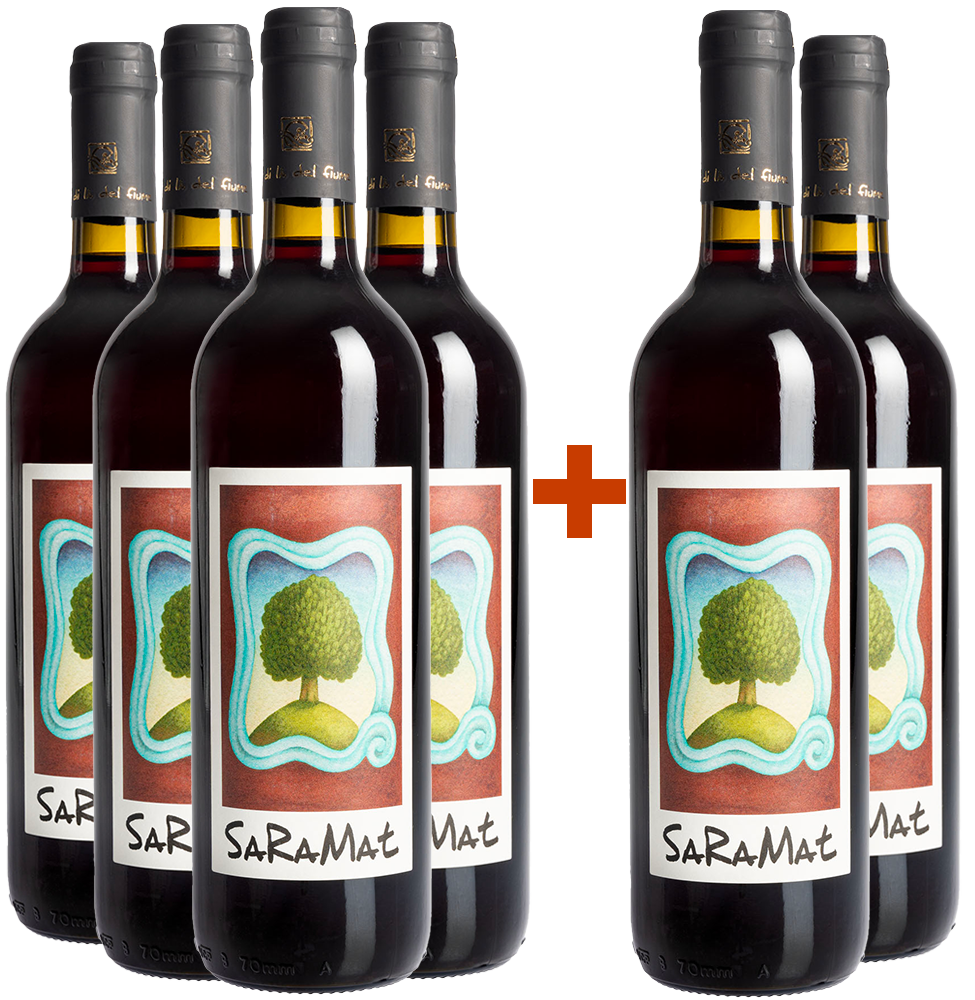 4+2 Saramat Emilia IGP