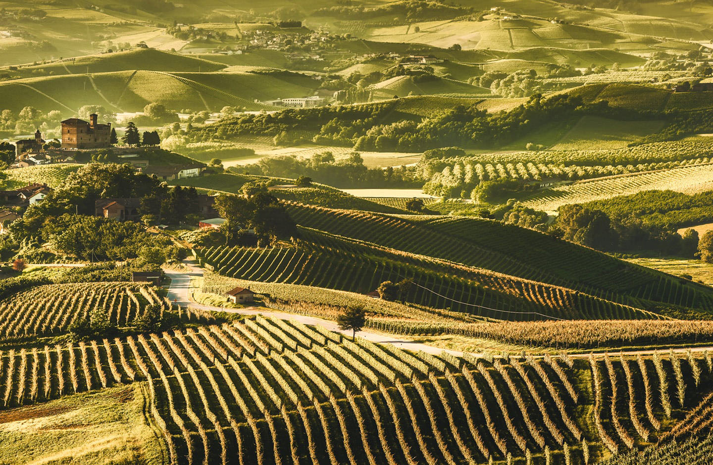 Terre di Gratia