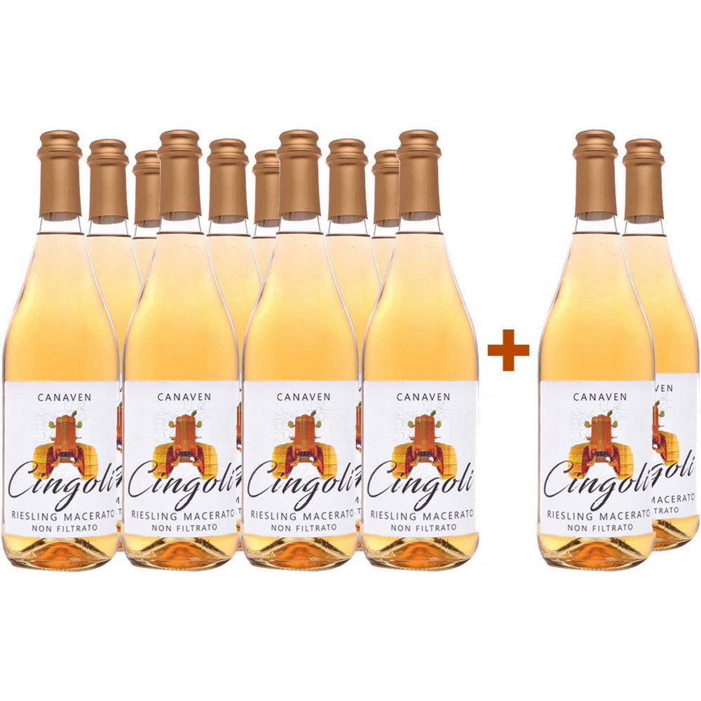 10+2 Cingoli Provincia di Pavia IGP BIO