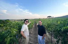 WINESTREAMER