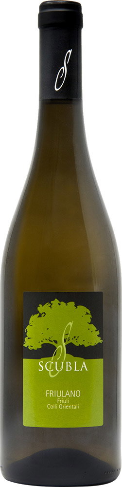 2023 Friulano Friuli Colli Orientali DOC reflection