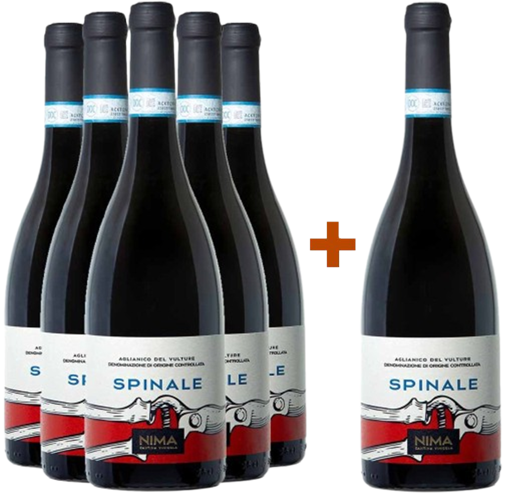 5+1 "Spinale" Aglianico del Vulture DOC