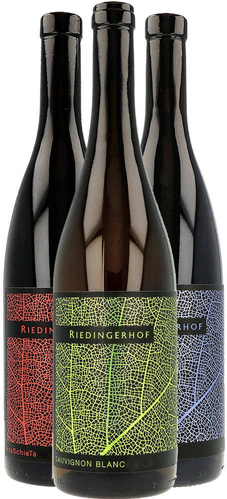 Box Promozionale Riedingerhof