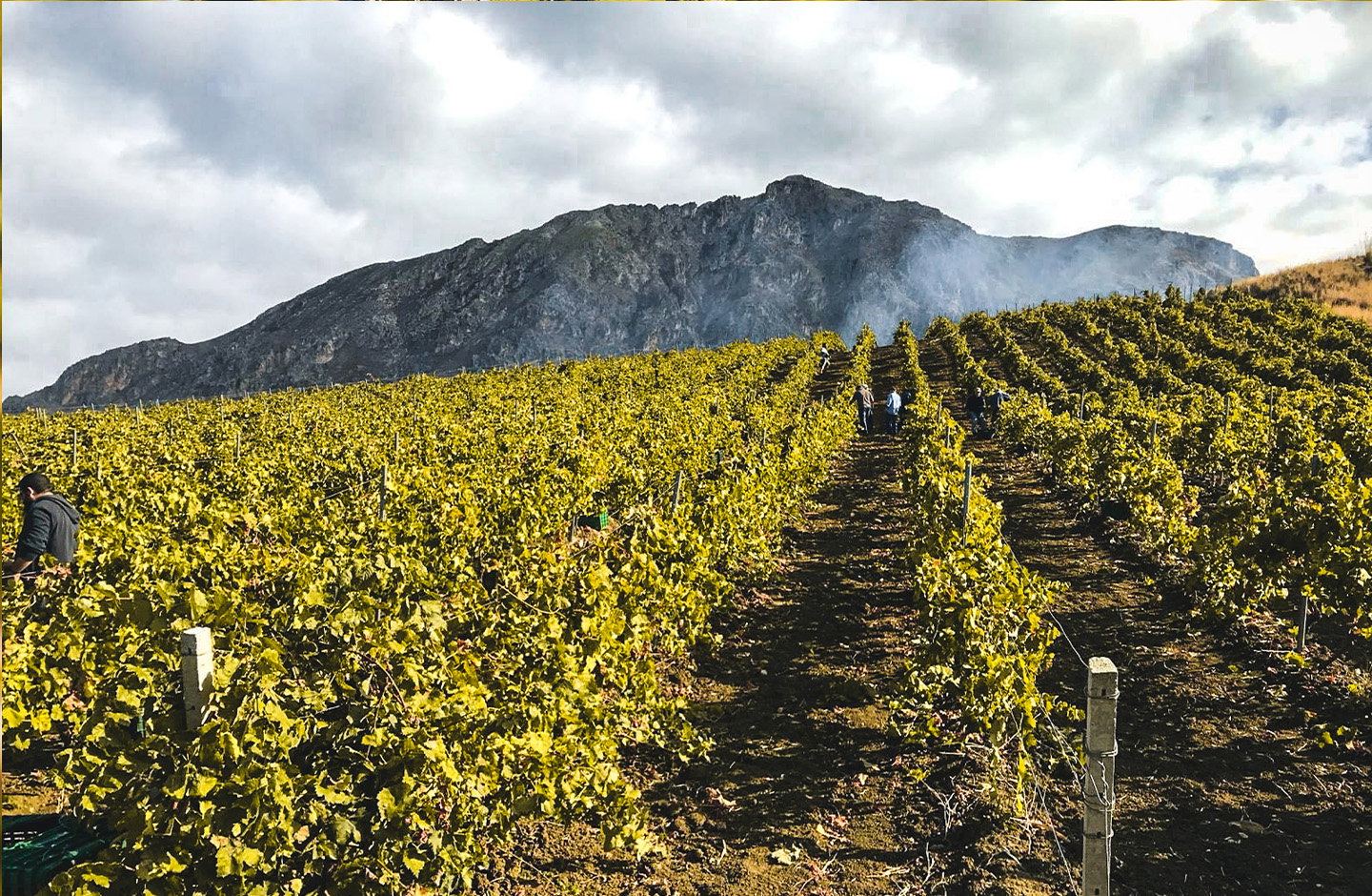 Vigneti sulle pendici dell’Etna per la produzione di Etna DOC