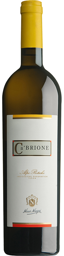 2023 Ca’ Brione Alpi Retiche IGP