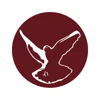 Logo di Claudio Borgogno